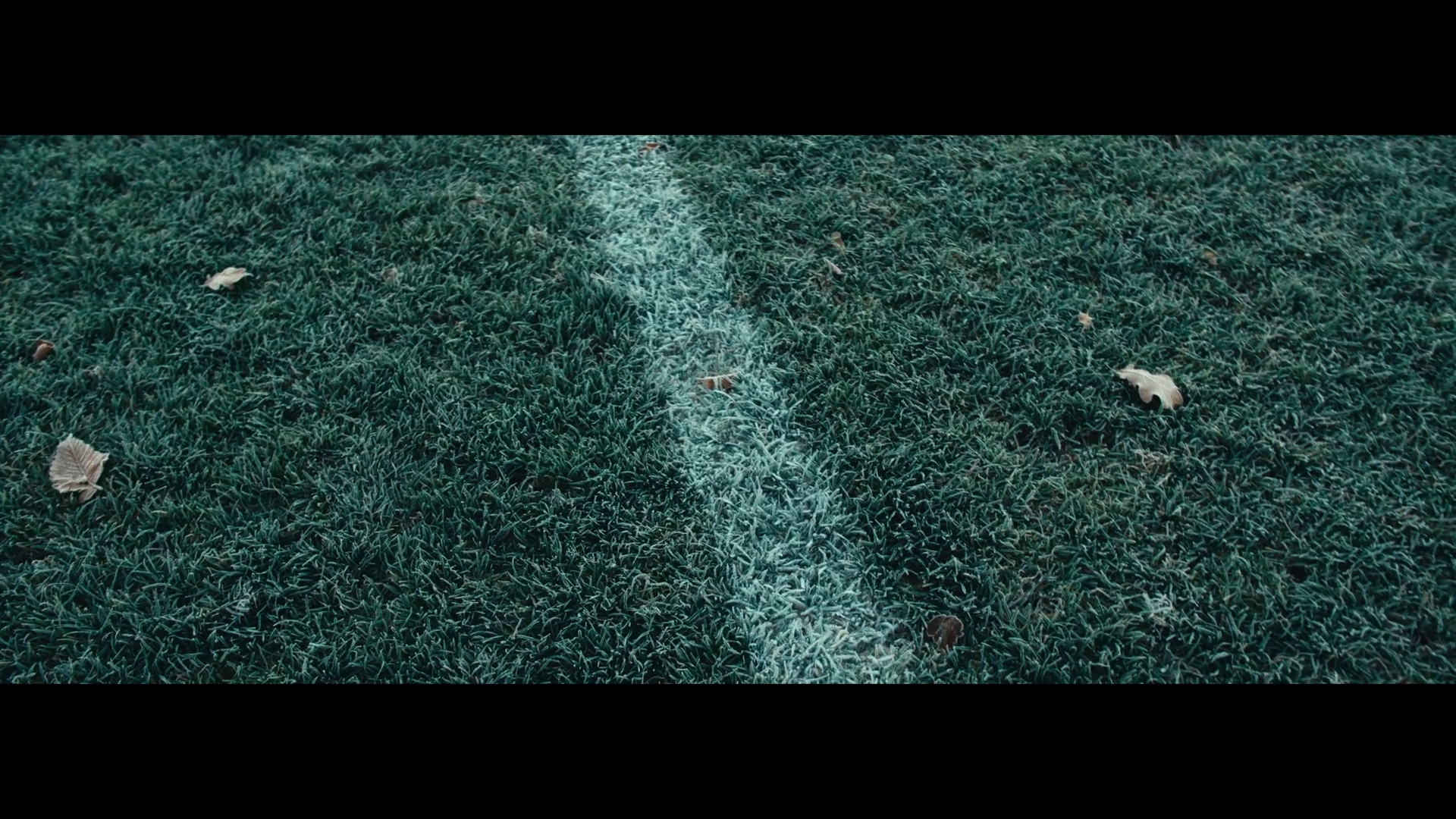 horizontal reel